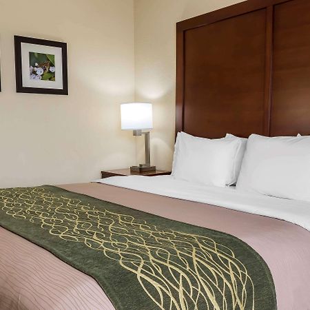 Comfort Inn - Pocono Mountains White Haven Εξωτερικό φωτογραφία