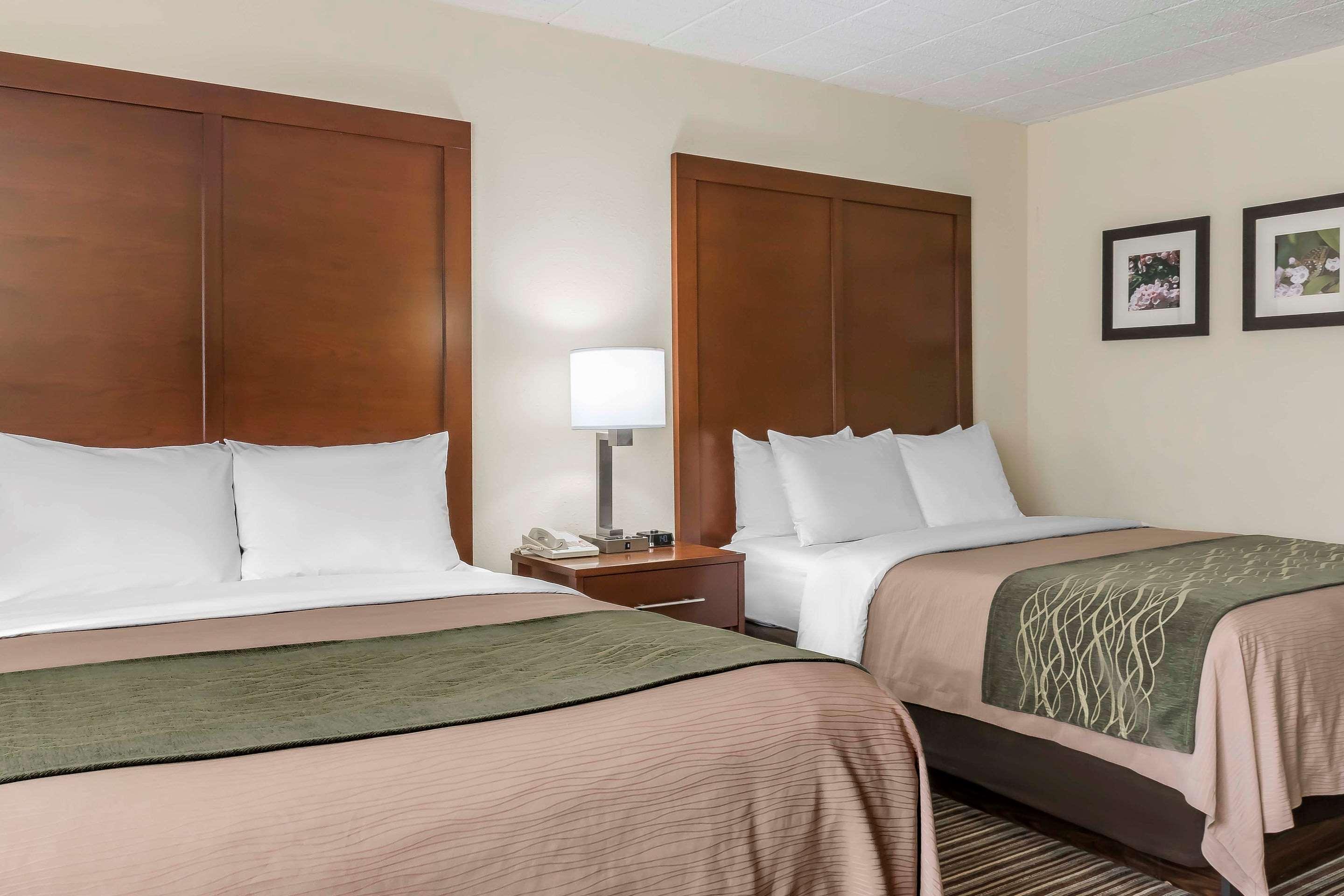 Comfort Inn - Pocono Mountains White Haven Εξωτερικό φωτογραφία