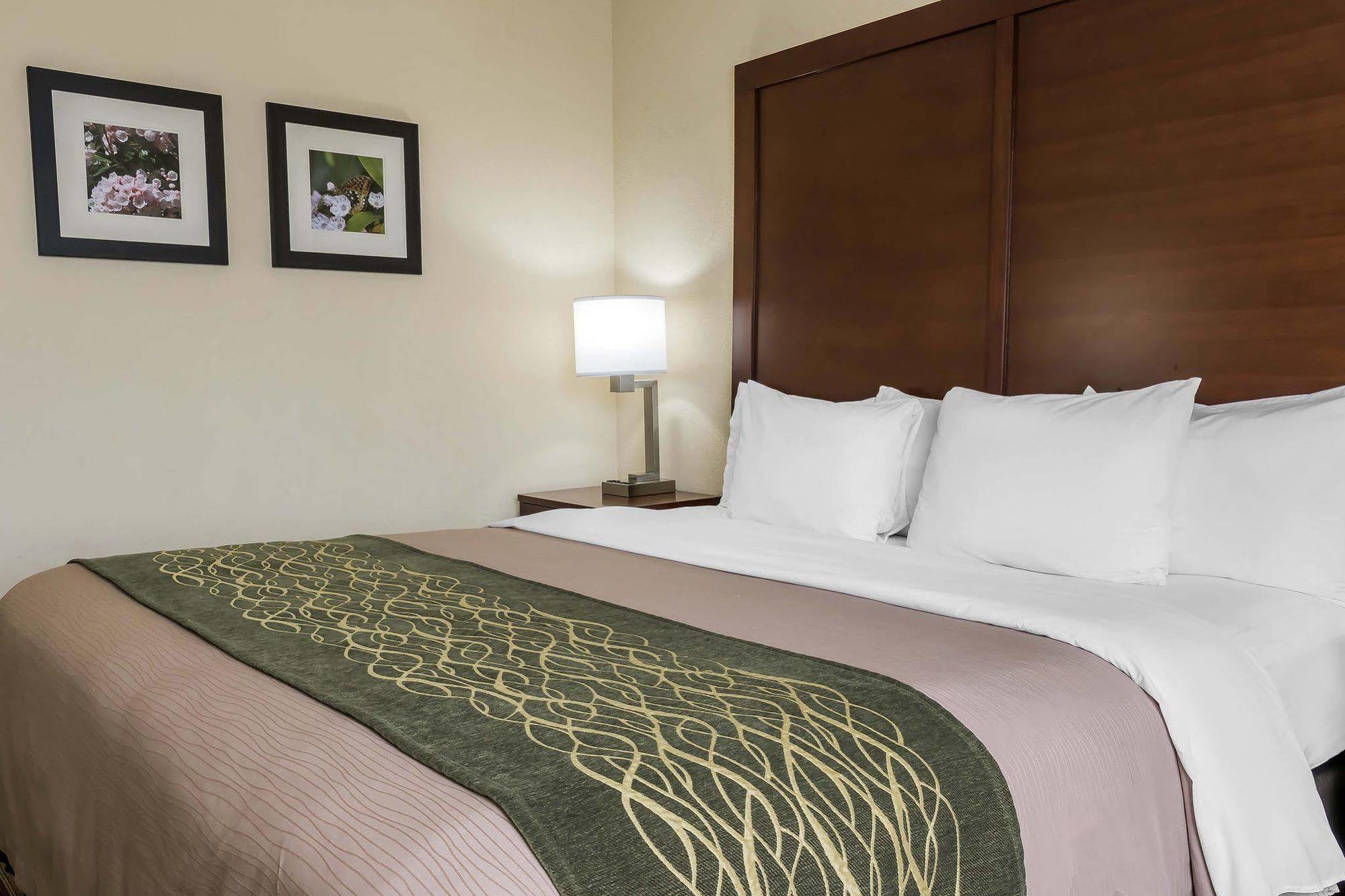 Comfort Inn - Pocono Mountains White Haven Εξωτερικό φωτογραφία