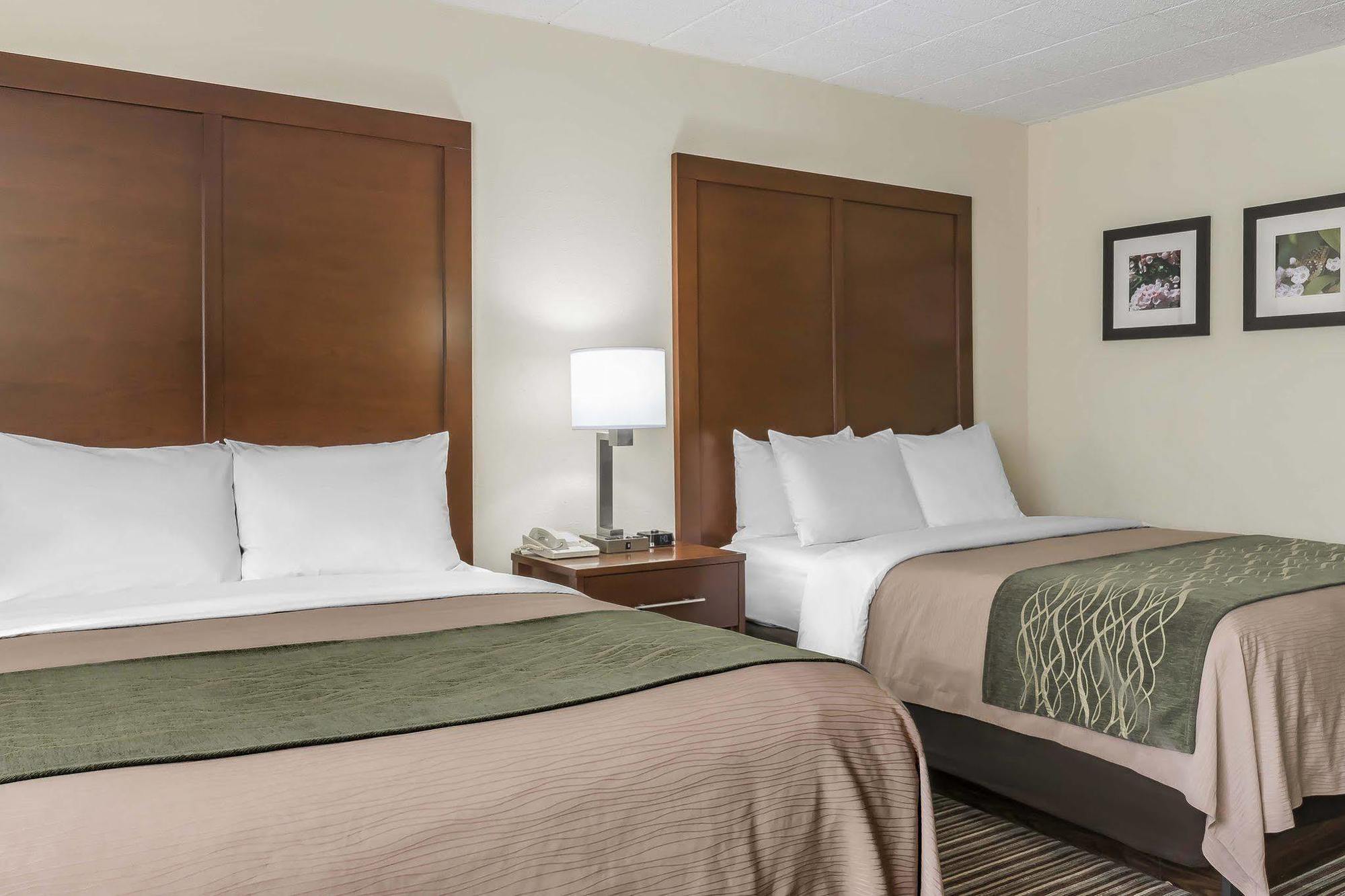 Comfort Inn - Pocono Mountains White Haven Εξωτερικό φωτογραφία